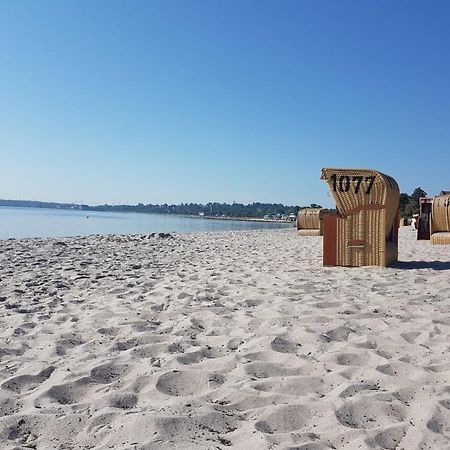 Zwergtaucher Eckernförde Dış mekan fotoğraf