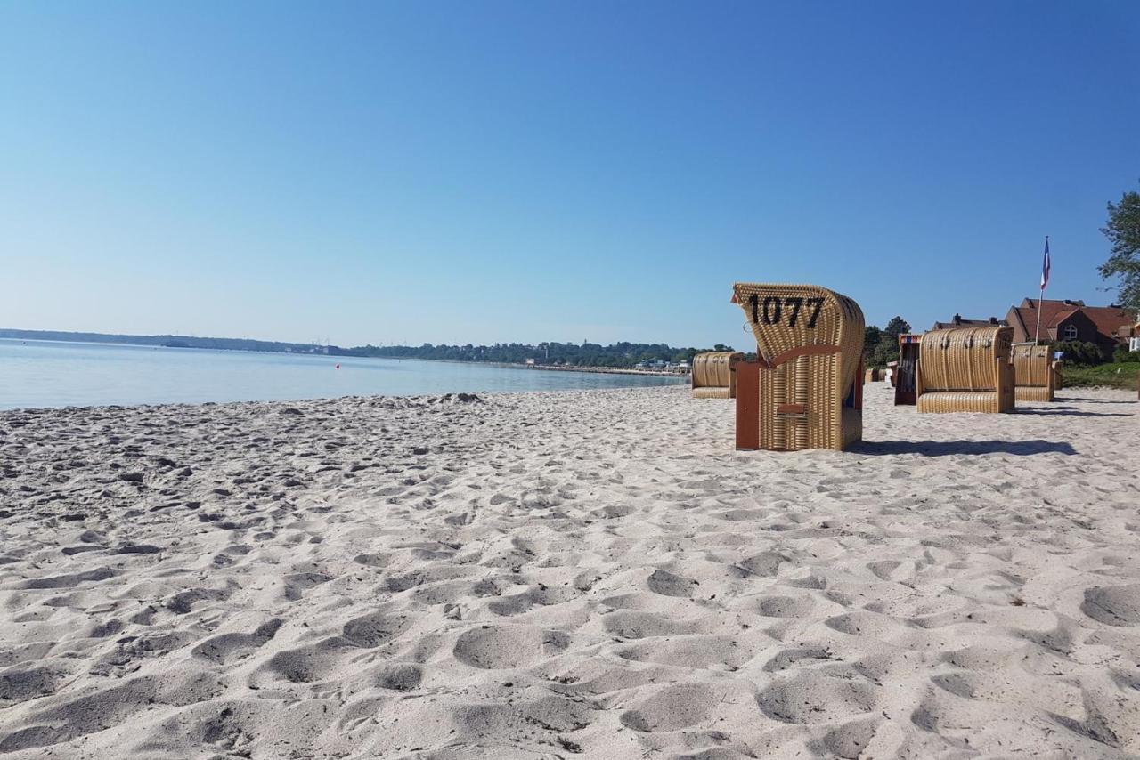 Zwergtaucher Eckernförde Dış mekan fotoğraf